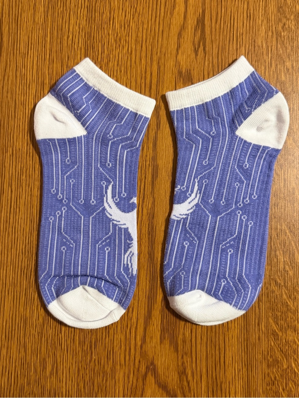 Fairyloot Warcross Socks NWT